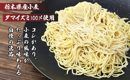 担々麺 2食×4パック 計8食 | タンタンメン 担々麵 栃木県 茂木町 