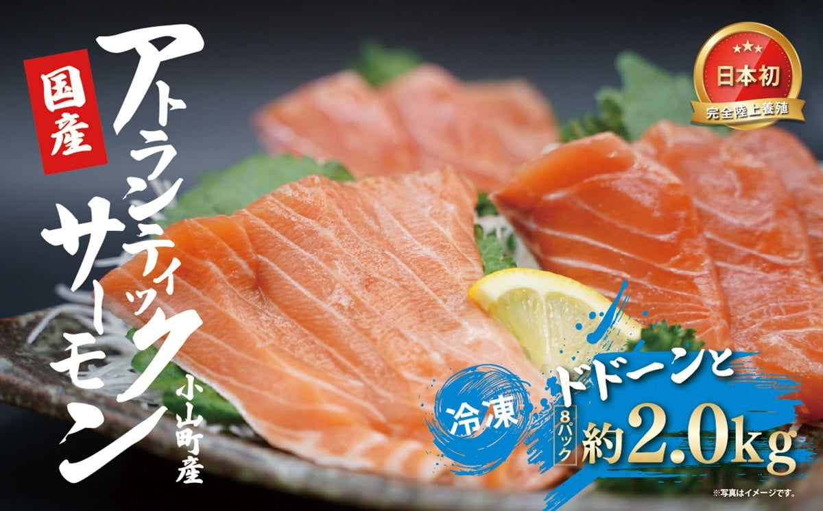 
                  日本初 完全陸上養殖 小山町産 アトランティックサーモン 冷凍  8パック 約2.0kg | サーモン アトランティックサーモン 刺身 海鮮丼 さーもん 小分け 真空パック 人気 おすすめ ランキング リピート 国産 静岡県 小山町
                