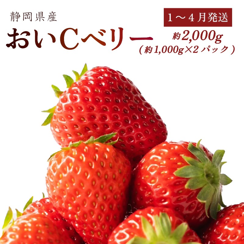 
                  【1~4月発送】 おいCベリー 2000g以上 いちご 1000g×2パック イチゴ 冷蔵発送 苺 2kg 土耕栽培 フルーツ 果物 スイーツ デザート朝摘み ストロベリー おやつ 完熟 直送 ギフト 家庭用 贈答用 贈答 ギフト 贈り物 甘い ブランド ジャム アレンジ フルーツサンド 農家直送 ベリー 産地直送 国産 おすすめ 森木農園 静岡県 牧之原市 ~土耕栽培だから濃くて甘い!~
                