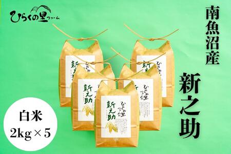 【R7年産】金賞 南魚沼産新之助 白米2kg×5 きらめく大粒！ ひらくの里ファーム【2025年11月上旬より順次発送予定】