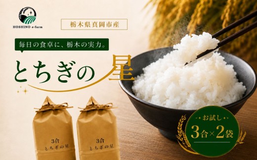 令和7年産 真岡市産 とちぎの星（お試しサイズ） 米 3合×2袋 | お試し 初心者向け 米 お米 こめ 白米 ご飯 ごはん 大粒 とちぎのほし 限定 ふるさと納税  栃木県 真岡市 送料無料