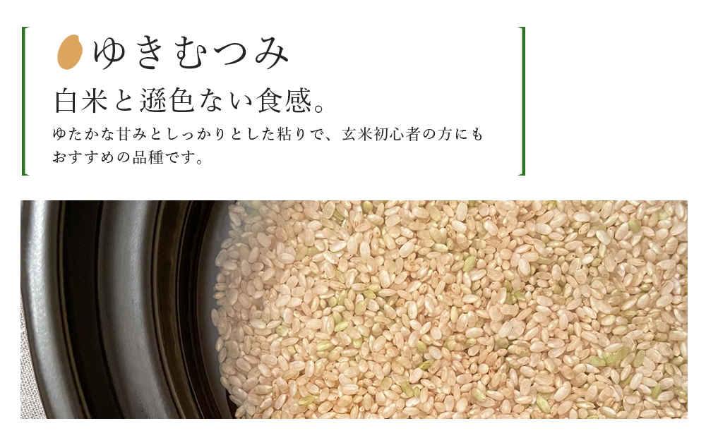 【令和8年産新米予約】 【定期便9カ月】新米発送 玄米「ゆきむつみ2kg」特別栽培米産地直送《帰山農園》