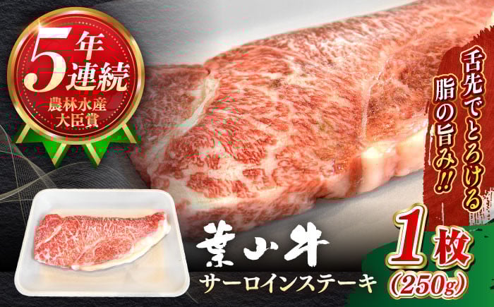 
            葉山牛 サーロインステーキ 250g×1枚 計250g さーろいんすてーき ステーキ さーろいん すてーき ステーキ肉 すてーき肉 牛 牛肉 国産 ブランド 黒毛和牛 焼肉 焼き肉 BBQ バーベキュー 牛肉 ステーキ すてーき サーロイン さーろいん サーロインステーキ さーろいんすてーき 葉山牛【葉山牛ステーキレストラン 角車】 [ASBD016]
          