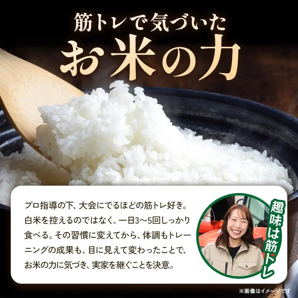 米 10kg 白米 令和7年産 栗原市産 だて正夢