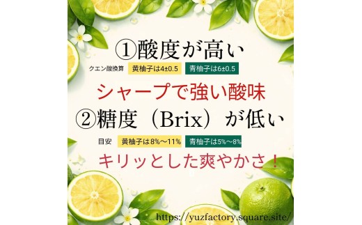 青柚子果汁100%　2000ml(1000ml×2パック)