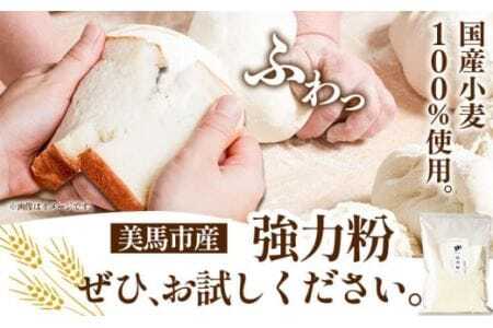 強力粉 3kg  調味料
