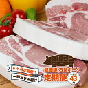 【ふるさと納税】【定期便】豚肉 石見ポーク　豚まるごと1頭セット43kg【月2回×6か月】