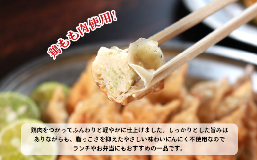 冷凍餃子 選べる単品 にんにくなし 30個×1p 餃子 セット ぎょうざ ギョウザ にんにく 不使用 肉 お肉 豚肉 豚 鶏肉 鳥 おつまみ 加工品 肉汁 惣菜 お弁当 冷凍ストック 寺岡商店 香川県