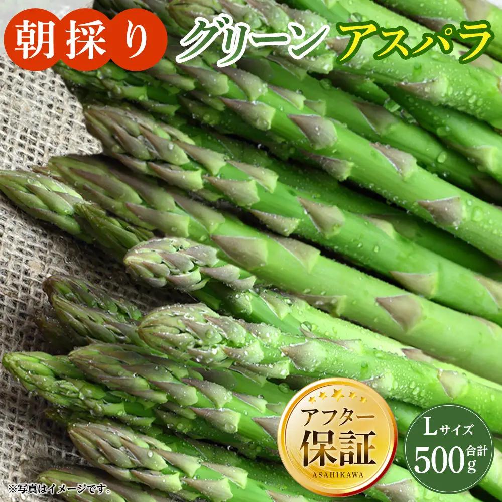 朝採り グリーンアスパラ L 500g (2027年5月下旬発送開始) | アスパラ 北海道