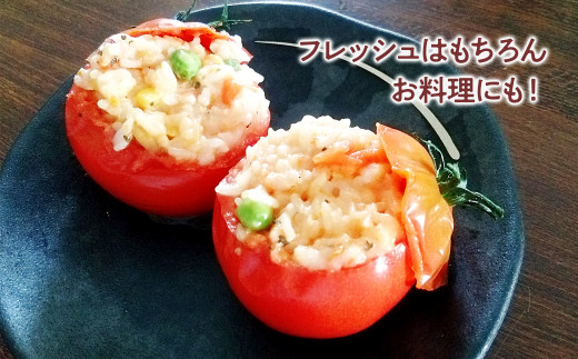 【先行予約】お徳用フルーツトマトＬサイズ 1.2kg・約15玉・Lサイズ〈2027年1月上旬～6月上旬〉 / 糖度8度以上 フルーツトマト ふるーつとまと とまと トマト 箱詰め 甘い 濃厚 高知県 