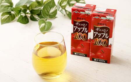 【3か月連続定期便】アップル100 200ml×12本×3回 合計36本 合計7.2L 厳選 りんご 果汁 100% 濃縮還元 林檎 ジュース リンゴジュース  常温 飲料 熊本県 らくのうマザーズ