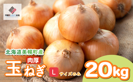 【 先行予約玉ねぎ】北海道産 玉ねぎ Lサイズ20kg [◆発送10月~2月] AF