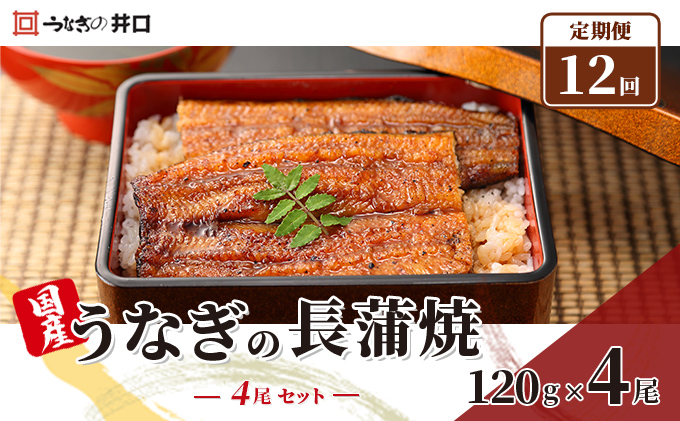 定期便12回【ITI優秀味覚賞受賞】「うなぎの井口」長蒲焼4尾セット【配送不可：離島】