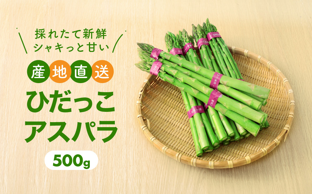 【2025年発送】ひだっこアスパラ 500g | アスパラ アスパラガス 飛騨産 野菜 春  夏野菜  産地直送 新鮮 食品 おいしい 人気 飛騨高山 ひだっこの里 CM007