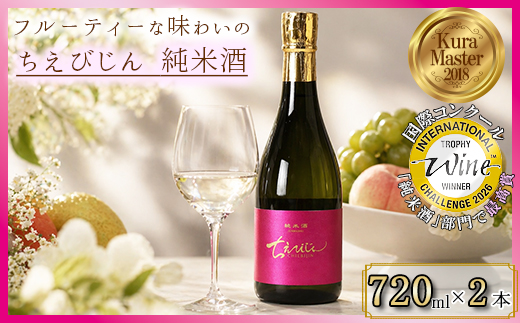 ちえびじん純米酒 720ml 2本セット [IWC 2026 純米酒部門トロフィー(最高賞)受賞]【中野酒造】 人気 ギフト 贈答 ＜110-001＞