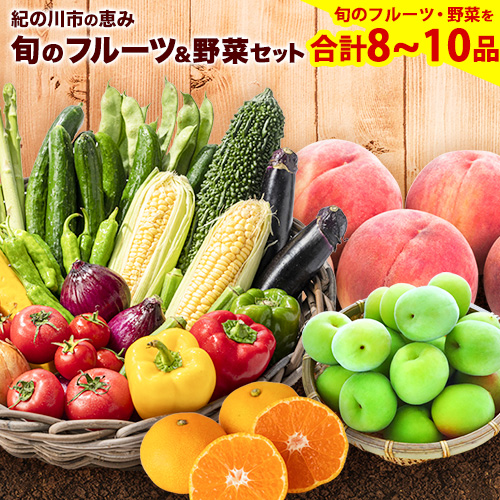 紀の川市の恵み 旬のフルーツ＆野菜セット 計8～10品《30日以内に出荷予定(土日祝除く)》和歌山県 紀の川市 フルーツ 果物 野菜 セット 桃 梅 みかん 新玉ねぎ なす トマト キャベツ