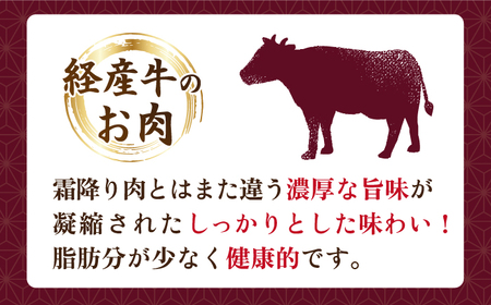 【12回定期便】 【赤身本来のコクと旨味！】 九州産黒毛和牛 サーロインステーキ 1kg（4～6枚） ＜宮本畜産＞[CFA036]