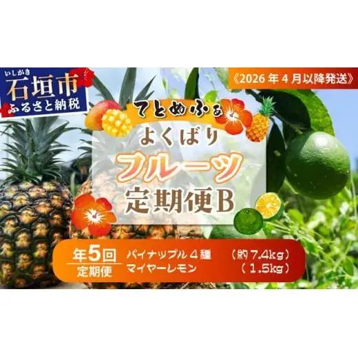 パイナップル好きにおすすめ！大満足のパイナップル4品種＆青切りマイヤーレモン定期便　年5回に分けてお送りします 《2027年4月以降発送》