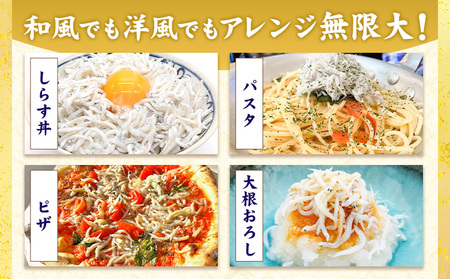 釜揚げしらす 小分け 大津港水揚げ しらす 1kg (茨城県共通返礼品：北茨城市) 川崎水産有限会社 《30日以内に出荷予定(土日祝除く)》釜揚げ 小分けパック 減塩 茨城県 河内町【配送不可地域あり