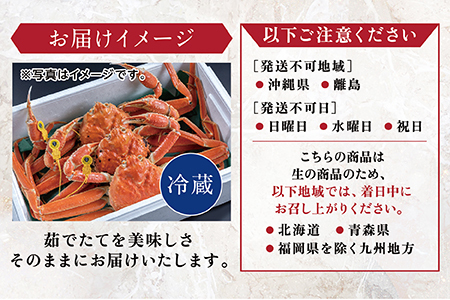 【年内発送】越前がに（オス）「ずわいがに」特大サイズ（1.0-1.2kg） 訳あり 2杯