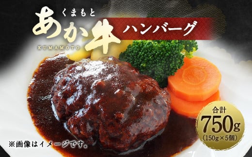 
くまもと あか牛 ハンバーグ 150g×5個 計750g 牛肉 100%
