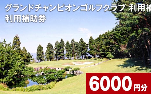 グランドチャンピオンゴルフクラブ 利用補助券 6000円分  1000円×6枚