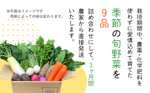 【3ヶ月 定期便】農家直送！【栽培期間中農薬不使用】季節の新鮮野菜「９品」詰め合わせセット オーガニックファーム AIBA FARM TML002 / 野菜セット 無農薬 野菜 千葉県 富里市 直送野
