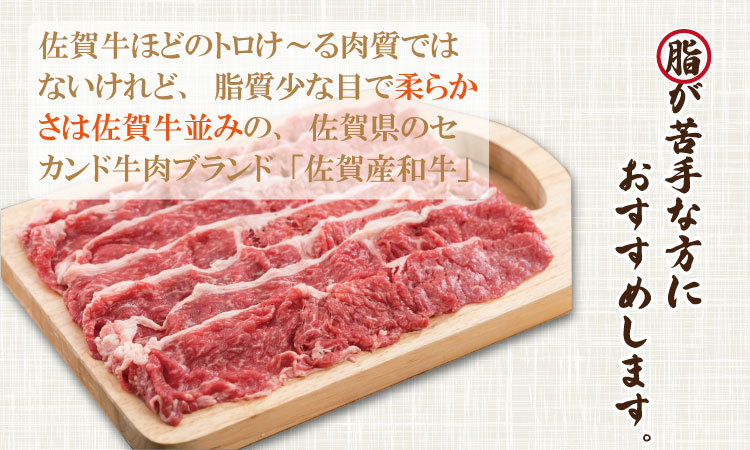 佐賀産和牛切り落とし（1,000g） すき焼き キャンプ飯 牛丼  潮風F