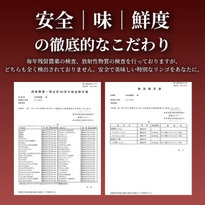 【青森直送 季節の味覚をお届け!】サンはるか 5kg×1箱(家庭用)青森産 産地直送 限定生産【配送不可地域：離島】