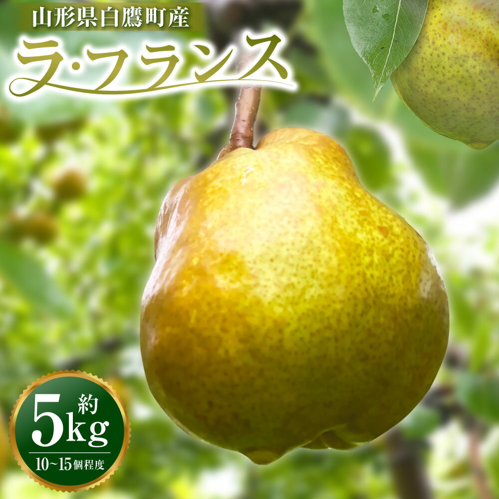 【ふるさと納税】白鷹町産 ラ・フランス 5kg 洋梨 なし ナシ フルーツ くだもの 果物 果実 デザート 山形県産 国産 山形県 白鷹町 送料無料 【2026年11月上旬発送開始】
