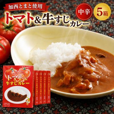 ふるさと納税 加西市 「加西産とまと」を使ったトマト&amp;牛すじカレー[No5698-0022]
