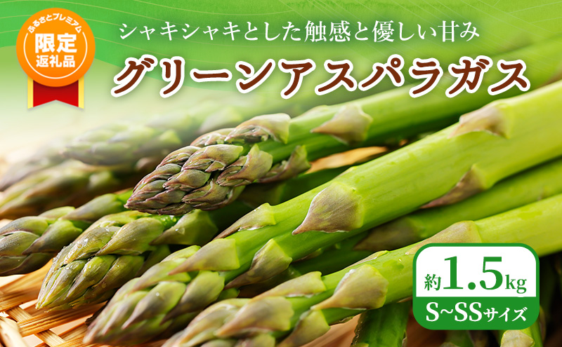 【ふるプレ限定品】ふらの グリーンアスパラ 約1.5kg S～SSサイズ [ 数量限定 先着順 アスパラ アスパラガス 野菜 新鮮 直送 北海道 富良野 ]