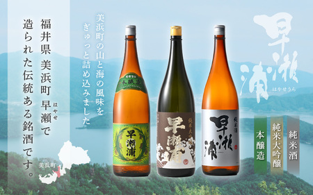 入手困難【早瀬浦】純米大吟醸 1800ml ＆ 純米酒 1800ml ＆ 本醸造 1800ml × 各1本ずつ セット【飲み比べ 日本酒 地酒 福井 美浜 早瀬 フルーティ 男酒 硬水 ミネラル 希少