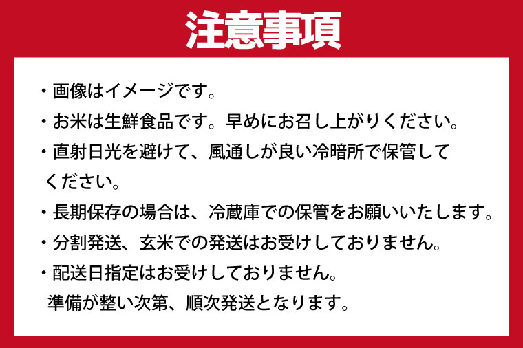 【数量限定】【9月下旬より順次発送】R8年産 にじのきらめき 5kg｜米 お米 白米 精米 R7年産 令和7年産 にじのきらめき 茨城県 茨城県産 行方市(HA-26)