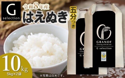 【令和8年産先行予約】 Gセレクション はえぬき 10kg(5kg×2袋) 【五分つき】山形県鶴岡市産　株式会社グラノフ
