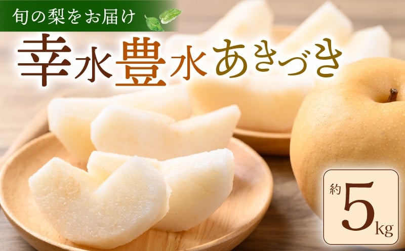 
            【 数量限定 】 先行予約 梨 約 5kg 12～16玉 幸水 豊水 あきづき 旬 品種おまかせ 2025年 8月～ 9月発送 予定 くだもの 果物 フルーツ なし ナシ デザート 幸水梨 豊水梨 産地直送 送料無料 千葉 ふるさと納税 千葉県 旭市 ヤマセ梨園 yms001
          