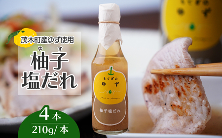 茂木産ゆずを使用！ 柚子塩だれ 210g×4本 保存料・着色料・香料不使用 | 塩だれ  塩だれ 塩だれ 塩だれ 塩だれ