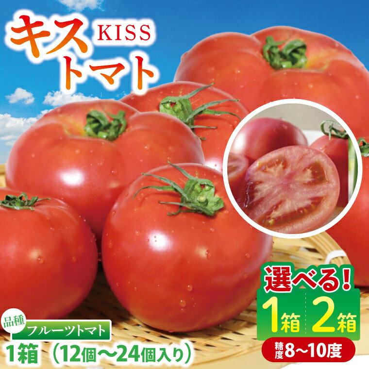 【ふるさと納税】【選べる内容量】【2026年2月より順次発送】★フルーツトマト★KISSトマト｜トマト とまと フルーツ フルーツトマト KISSトマト 先行予約 茨城県 行方市(AC-1)