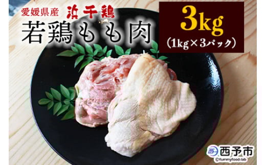 
            ＜銘柄鶏 浜千鶏 愛媛県産 若鶏もも肉 3kg（1kg×3）＞ 国産 鶏肉 鳥肉 とり チキン モモ肉 はまちどり ブロック 精肉 にく 料理 アレンジ 夕飯 夕食 お弁当 昼食 唐揚げ から揚げ 焼き鳥 マルハフーズ株式会社 愛媛県 西予市【冷凍】『1か月以内に順次出荷予定』
          