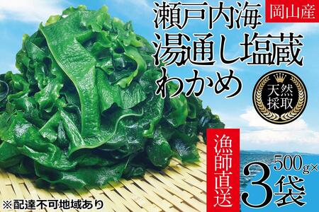 わかめ 湯通し塩蔵 瀬戸内 わかめ 500g×3袋