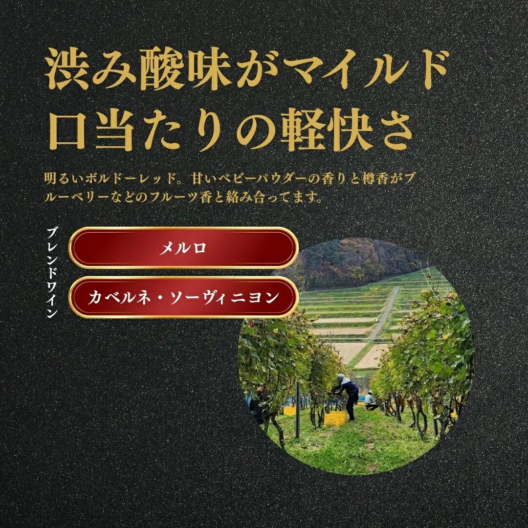 赤ワイン ＜リュンヌバリック＞ 750ml×1本 ｜赤ワイン