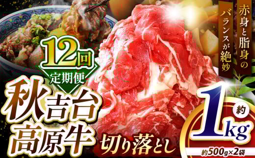 【定期便 12回】 秋吉台高原牛 切り落とし 合計 1kg  ( 約500g × 2 ) ｜ 12回 1000ｇ 数量限定 お肉 牛 肉 牛肉 にく 切り落とし 12kg 食べ物 長州 ブランド 限定 国産 山口 県 美祢市 秋吉台 高原 お礼の品 返礼品 送料無料 定期便