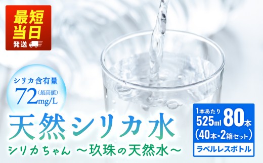 天然 シリカ 水 525ml × 40本 × 2箱 ＜シリカちゃん〜玖珠の天然水〜＞ ラベルレス 天然水 シリカ水 ミネラルウォーター 大分県 国産 天然シリカ 水 シリカ水 ミネラルウォーター 国産 保存可能 水 ペットボトル 長期保存水 備蓄水 備蓄用 非常災害備蓄用 災害 避難用品 防災 SDGs