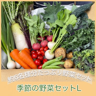 【栽培期間中農薬・化学肥料不使用です】ともときファーム丹波の季節の野菜セットL【配送不可地域：離島】