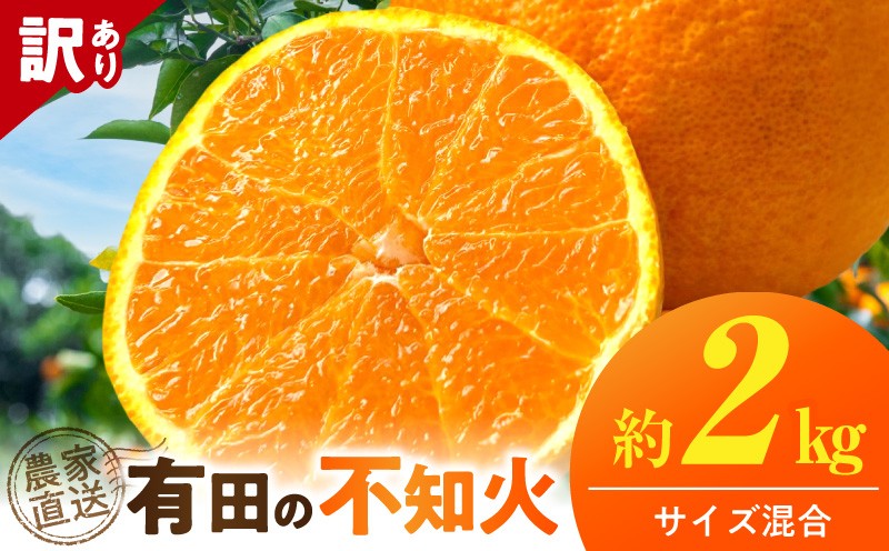 
                  【2027年先行予約】 【数量限定】有田 不知火 約 2kg 訳あり 3月発送 完熟 甘み 酸味 バランス みかん 柑橘 フルーツ デザート 果実 むきやすい ジューシー 農家直送 傷あり お取り寄せ 和歌山県 湯浅町 送料無料 _TR1007
                