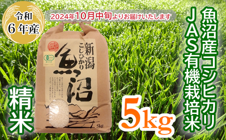 16P240 ＜数量限定＞令和6年産 魚沼産コシヒカリJAS有機栽培米 5kg精米（魚沼わたなべ農園） 白米 魚沼 有機 米