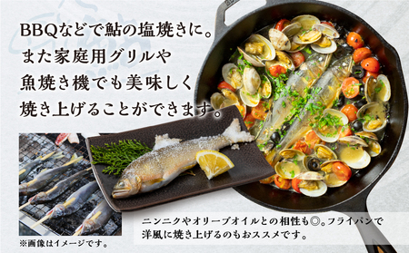 白川村産 飛騨庄川の天然鮎 6尾 18cm以上 訳あり 訳アリ 鮎 天然 あゆ 魚 川魚 岐阜県 白川郷 世界遺産 塩焼き BBQ 10000円 [S594]