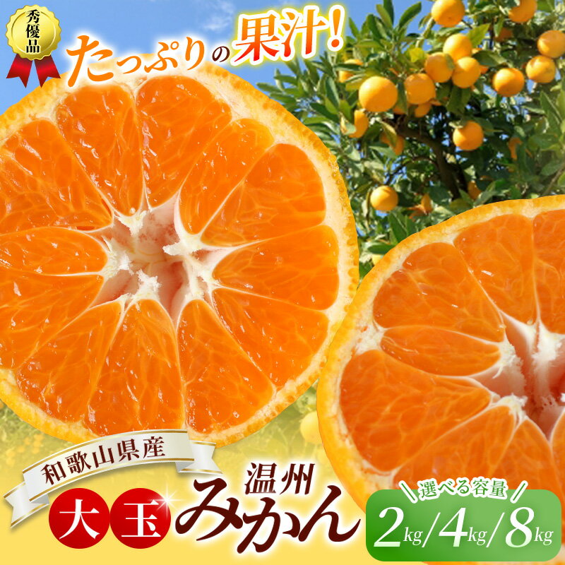 【ふるさと納税】 大玉 温州 みかん 2kg～8kg ※秀優混合【2L～3Lサイズ】【2025年12月から2026年2月下旬頃に順次発送】＜味好農園＞/ 温州 蜜柑 みかん 柑橘 果物 フルーツ ミカン 訳あり
