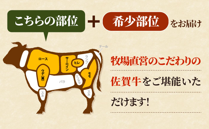 【FARM to TABLE】農場から食卓へ、牧場直送でお届け！