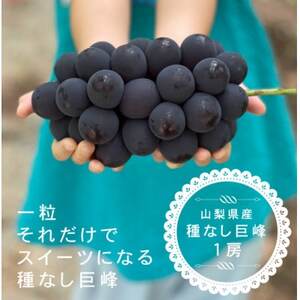 【2025年先行受付】巨峰ぶどう(種なし) 1房 500グラム以上 産地直送 山梨県山梨市牧丘産【配送不可地域：離島・沖縄県】【1535989】